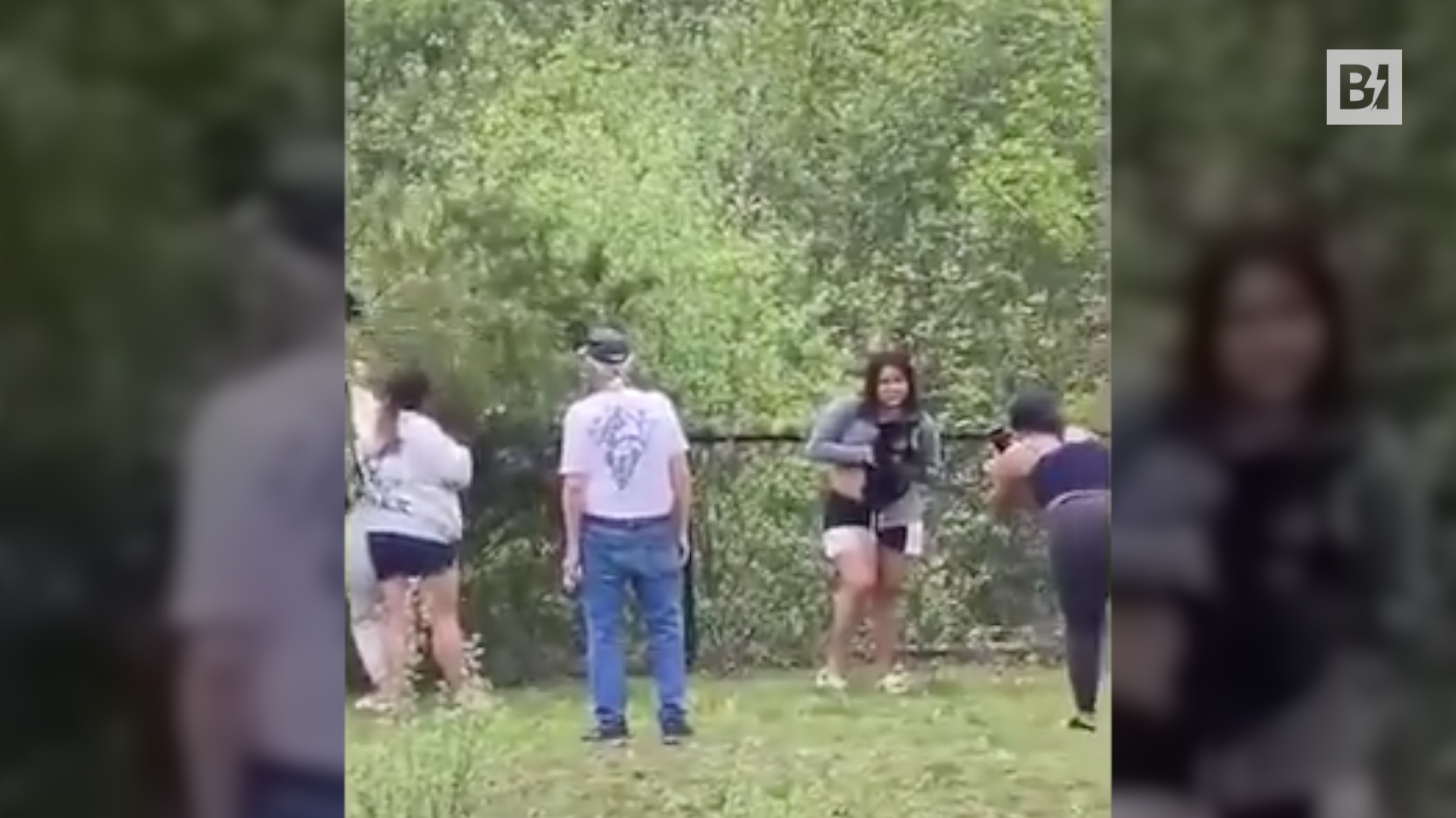 Turisti tirano giù da un albero e feriscono…