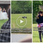 Estrellada en boda vestida de gato le roba el show a la novia: video viral