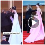 Cannes, polémica por el guardia de seguridad que maltrata a modelos y actrices