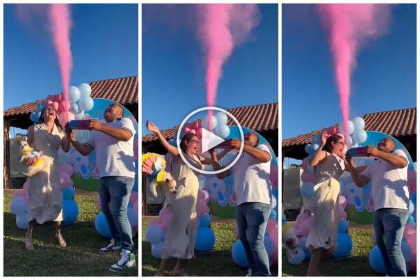 Esulta durante gender reveal e scaglia il cane nel giardino: polemica