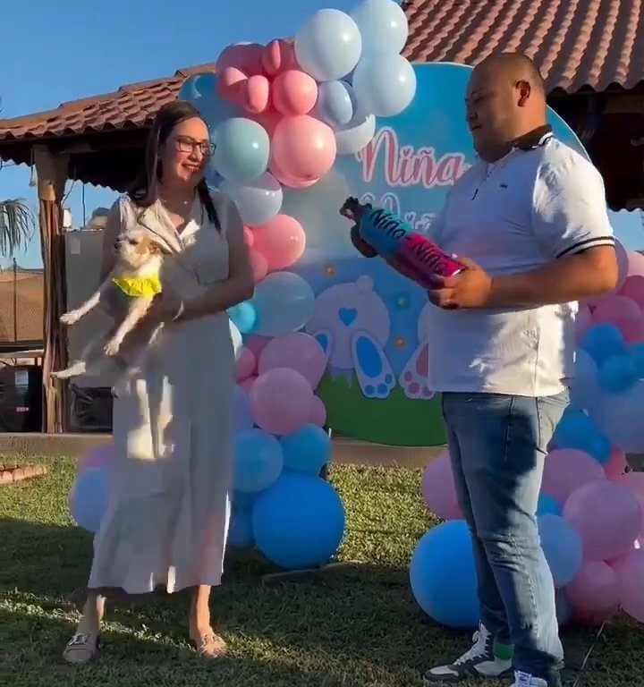 Esulta durante gender reveal e scaglia il cane nel giardino: polemica