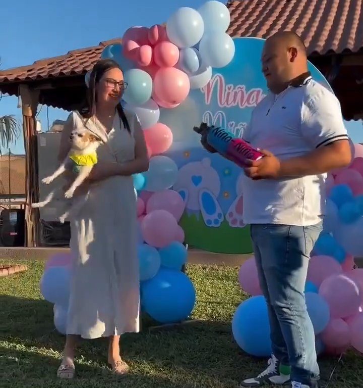 Esulta durante gender reveal e scaglia il cane nel giardino: polemica