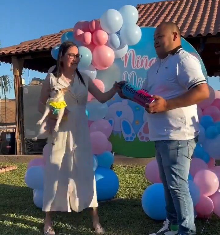 Esulta durante gender reveal e scaglia il cane nel giardino: polemica