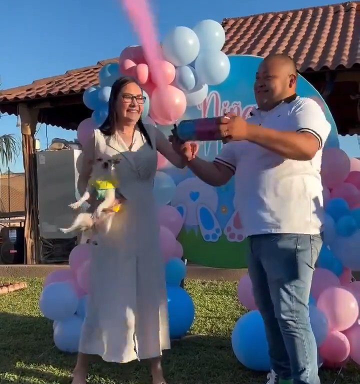 Esulta durante gender reveal e scaglia il cane nel giardino: polemica