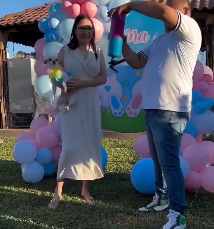 Esulta durante gender reveal e scaglia il cane nel giardino: polemica