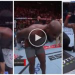 Luchador de UFC muestra sus nalgas y lanza protectores de entrepierna al público: fanáticos enloquecidos