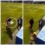 Un joven juez de línea recibe un puñetazo en la cara por un vídeo de shock del entrenador
