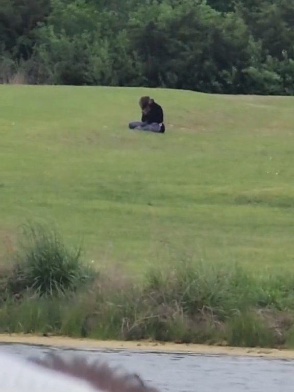 Crashé au mariage habillé en chat vole la vedette à la mariée : vidéo virale