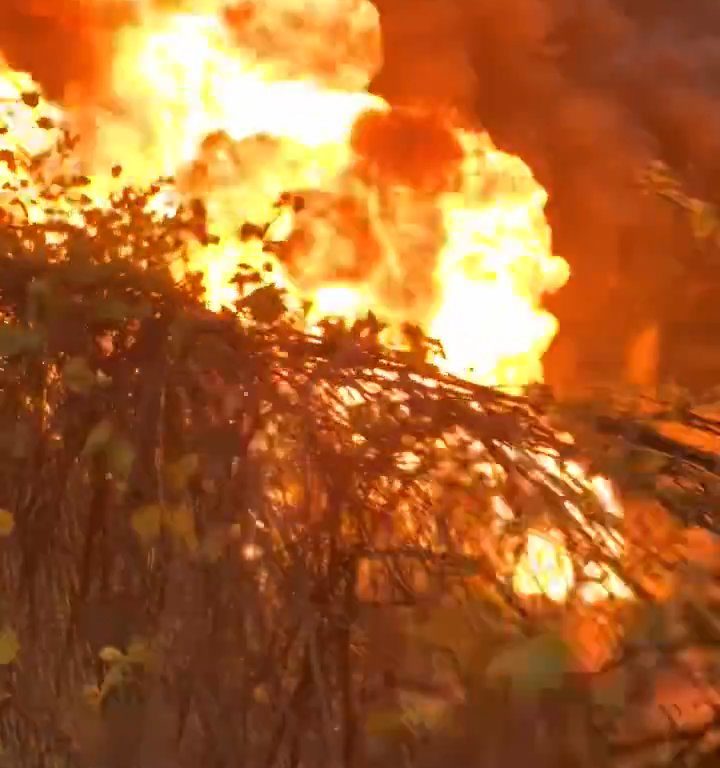 Infierno en la autopista, el camión cisterna vuelca y explota: bola de fuego en el cielo