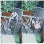 Ladrón de autos se queda atrapado en el portón y se queda sin ropa interior: video viral