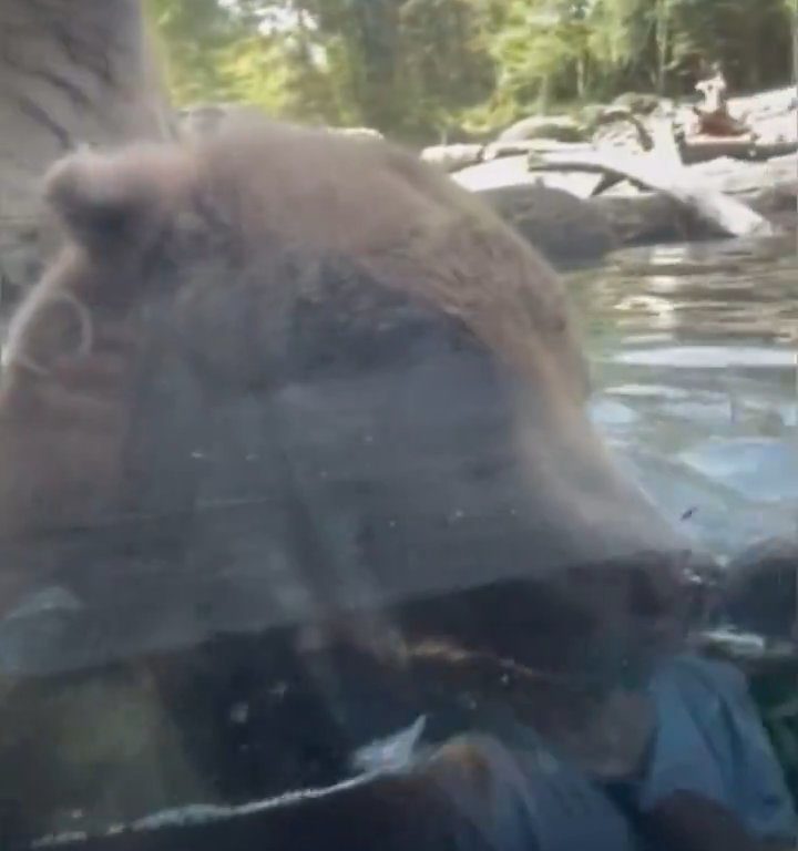 Un oso en el zoológico devora a una familia de patitos frente a niños aterrorizados