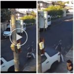 Mujer es atacada en la calle, el conductor pone marcha atrás y atropella al ladrón