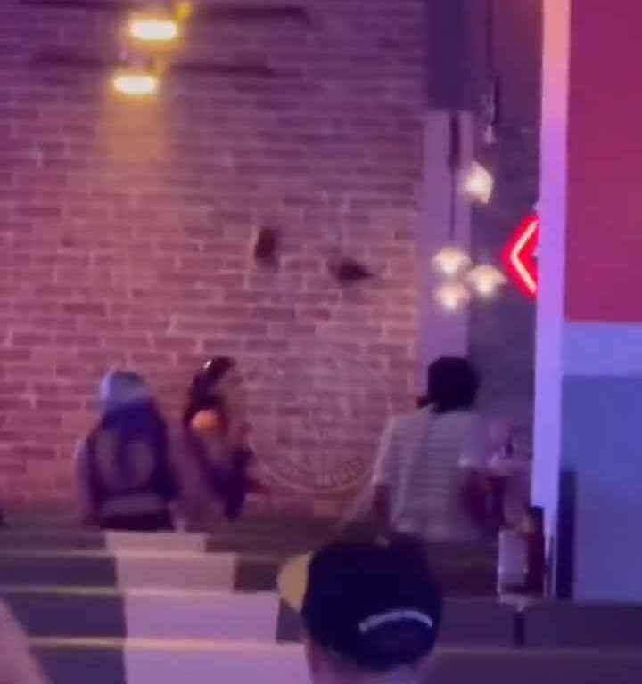 Bagarre au bowling, femme frappée à la tête avec une balle vidéo