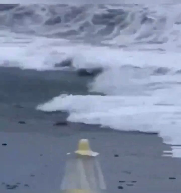 Besa a su novio en la playa, una ola monstruosa la mata: video viral