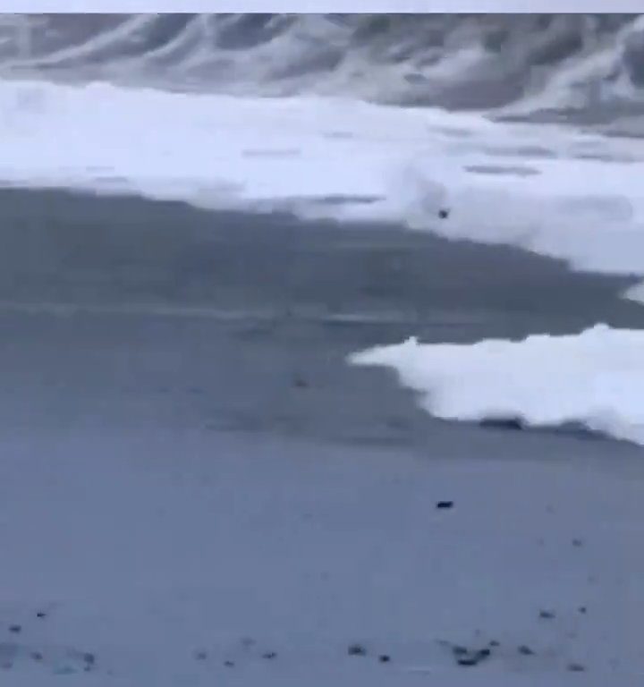 Besa a su novio en la playa, una ola monstruosa la mata: video viral