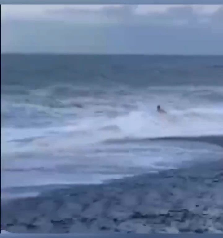 Besa a su novio en la playa, una ola monstruosa la mata: video viral