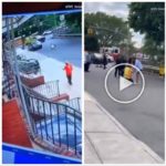 Camión arrolla a anciano que cruza y lo decapita: el macabro video online