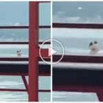 Pareja hace el amor en la presa pero es filmada por turistas video se vuelve viral
