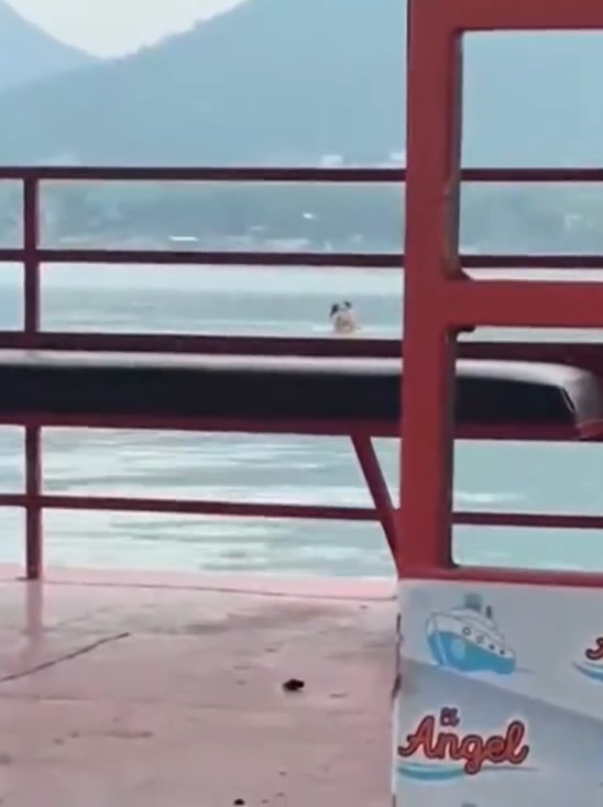 Un couple fait l'amour dans le barrage mais est filmé par des touristes. La vidéo devient virale