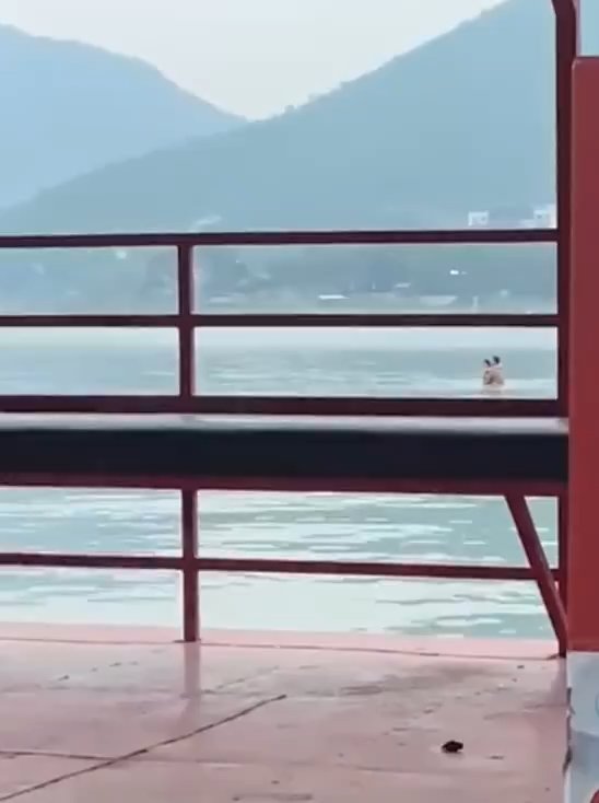 Pareja hace el amor en la presa pero es filmada por turistas video se vuelve viral