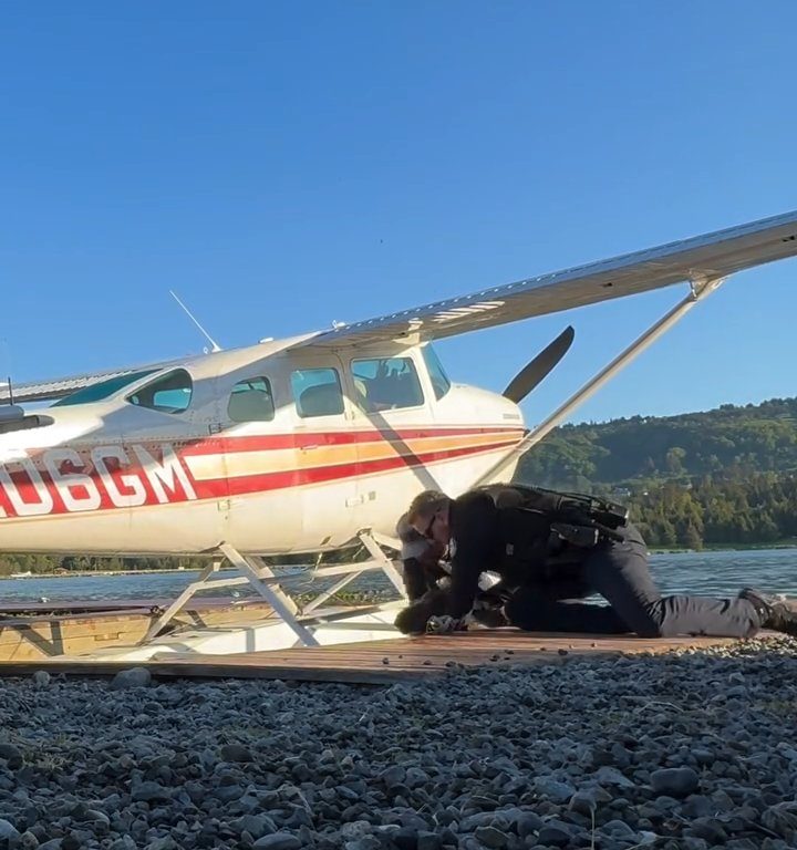 Alce bebé corre el riesgo de ahogarse, el emotivo rescate en un vídeo