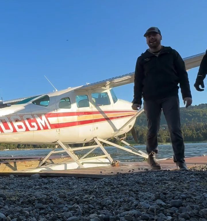 Alce bebé corre el riesgo de ahogarse, el emotivo rescate en un vídeo