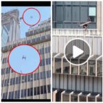 Locura en Nueva York, hombre arroja sillas desde lo alto de un rascacielos: arrestado