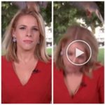 Periodista recibe una polla en la cara frente a la Casa Blanca en TV en vivo