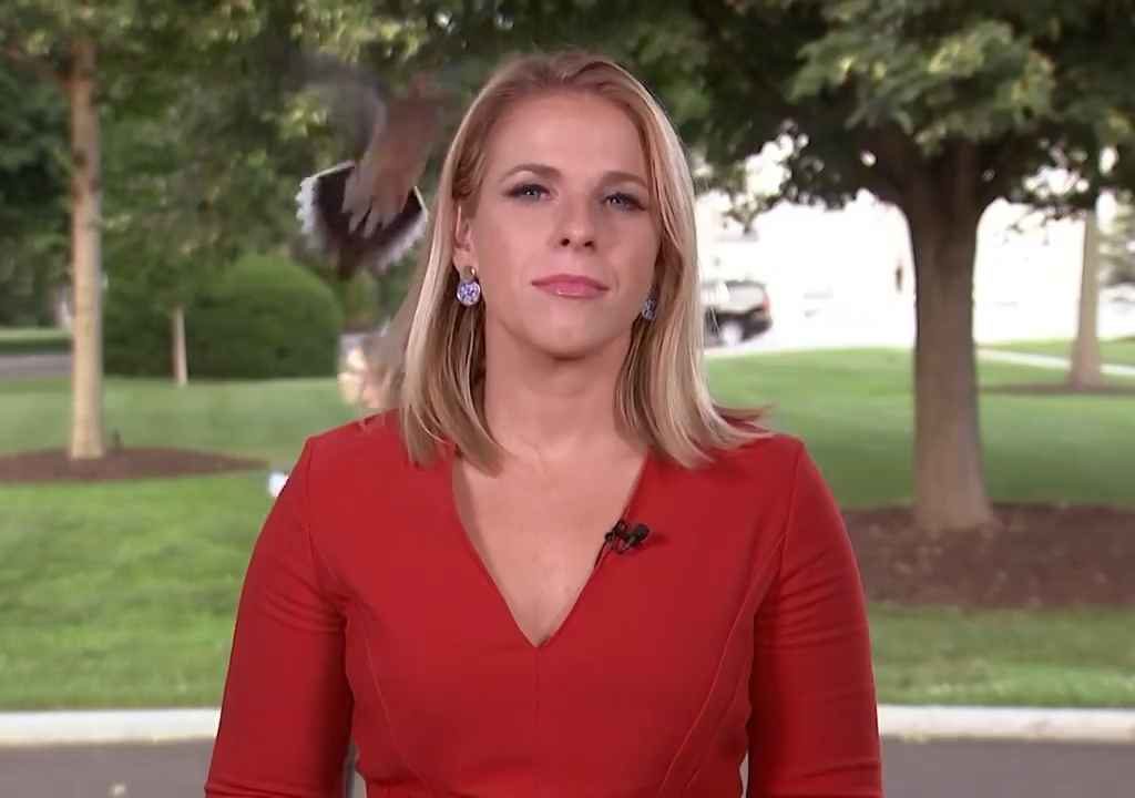 Periodista recibe una polla en la cara frente a la Casa Blanca en TV en vivo