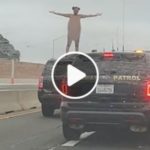 Perseguida por la policía, se sube al techo del coche y se desnuda: desnuda, pone el tráfico en picada