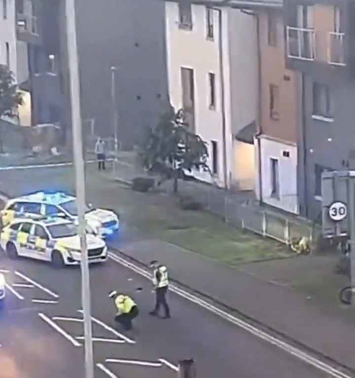 Il se filme en train d'écraser volontairement un cycliste puis diffuse la vidéo sur les réseaux sociaux