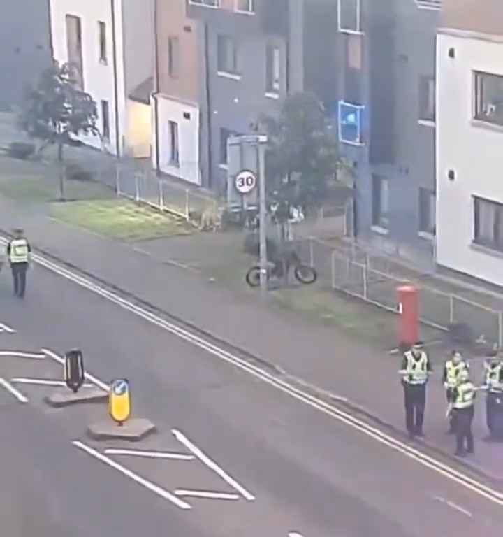 Se filma atropellando voluntariamente a un ciclista y luego difunde el vídeo en las redes sociales