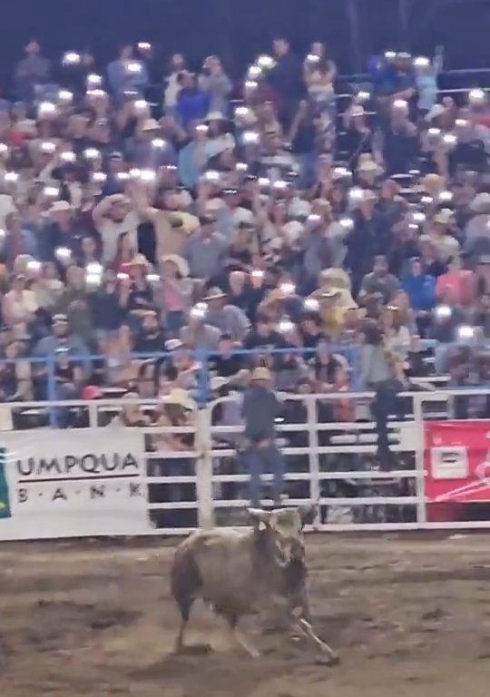 Toro dreht beim Rodeo durch und stürzt sich ins Publikum, was alle in Aufruhr versetzt: Schrecken und Verletzungen