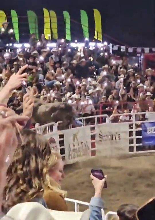 Toro dreht beim Rodeo durch und stürzt sich ins Publikum, was alle in Aufruhr versetzt: Schrecken und Verletzungen