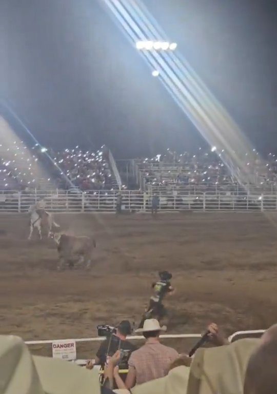 Toro dreht beim Rodeo durch und stürzt sich ins Publikum, was alle in Aufruhr versetzt: Schrecken und Verletzungen