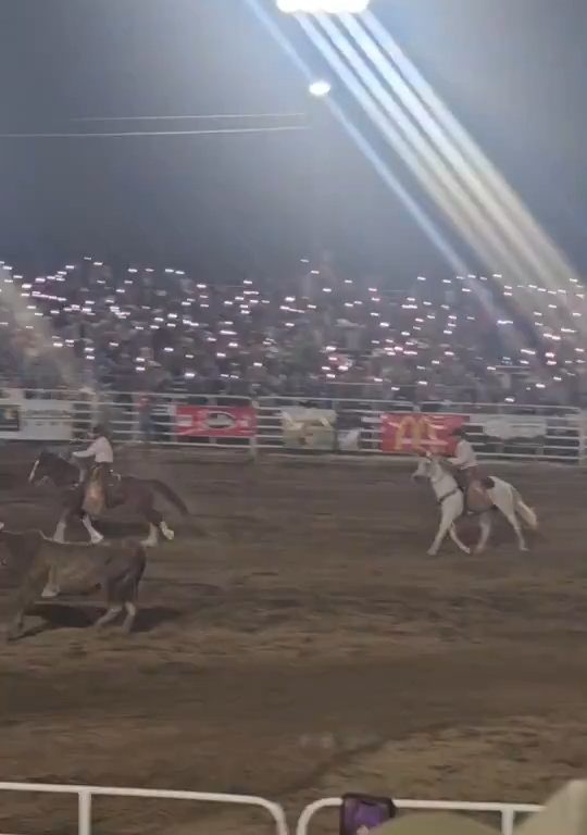 Toro dreht beim Rodeo durch und stürzt sich ins Publikum, was alle in Aufruhr versetzt: Schrecken und Verletzungen