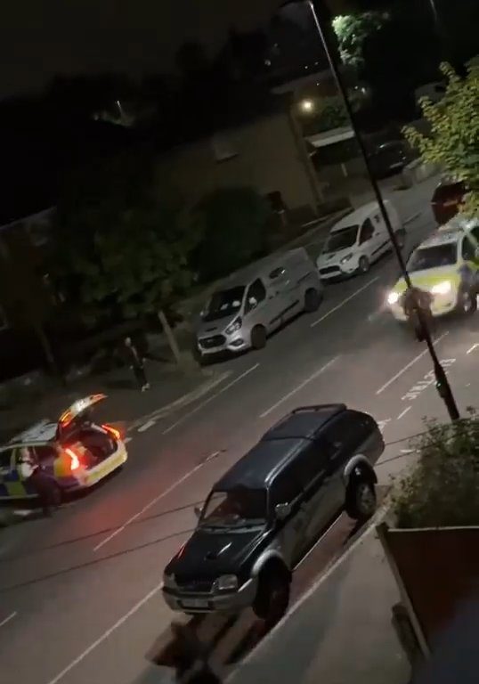 Vitello terrorizzato vaga in città, polizia lo sperona 5 volte per fermarlo: video shock