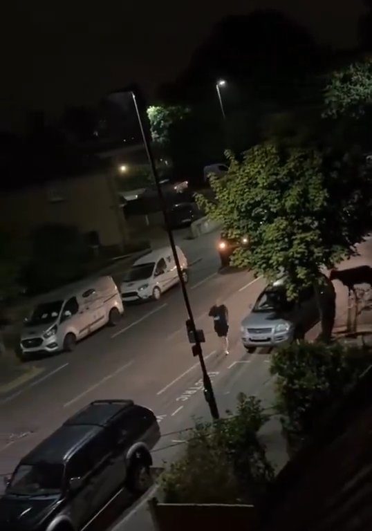 Vitello terrorizzato vaga in città, polizia lo sperona 5 volte per fermarlo: video shock