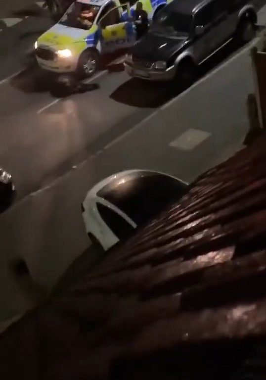 Vitello terrorizzato vaga in città, polizia lo sperona 5 volte per fermarlo: video shock