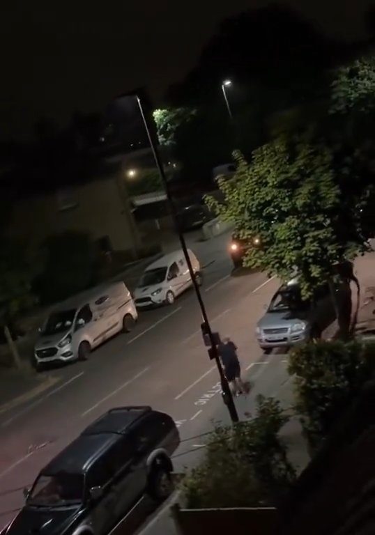 Vitello terrorizzato vaga in città, polizia lo sperona 5 volte per fermarlo: video shock