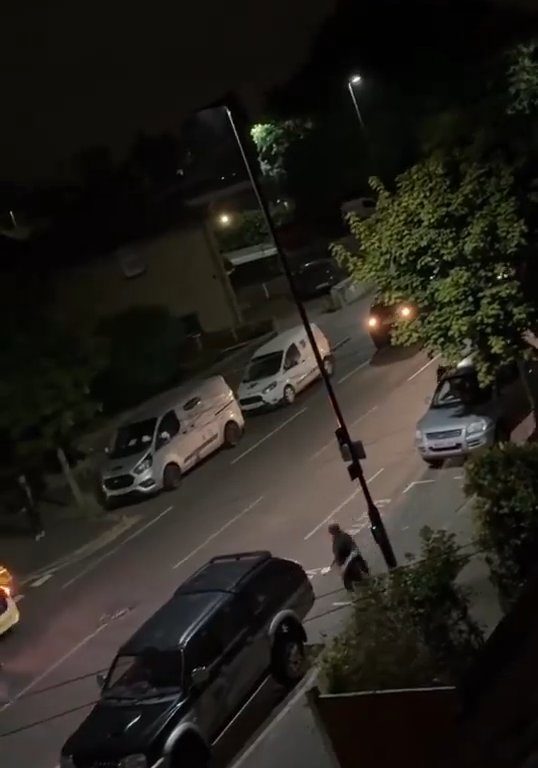 Vitello terrorizzato vaga in città, polizia lo sperona 5 volte per fermarlo: video shock