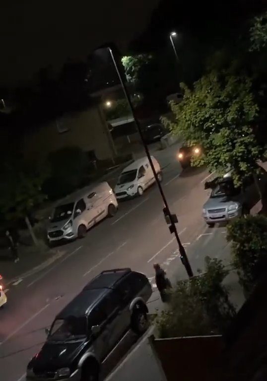 Vitello terrorizzato vaga in città, polizia lo sperona 5 volte per fermarlo: video shock