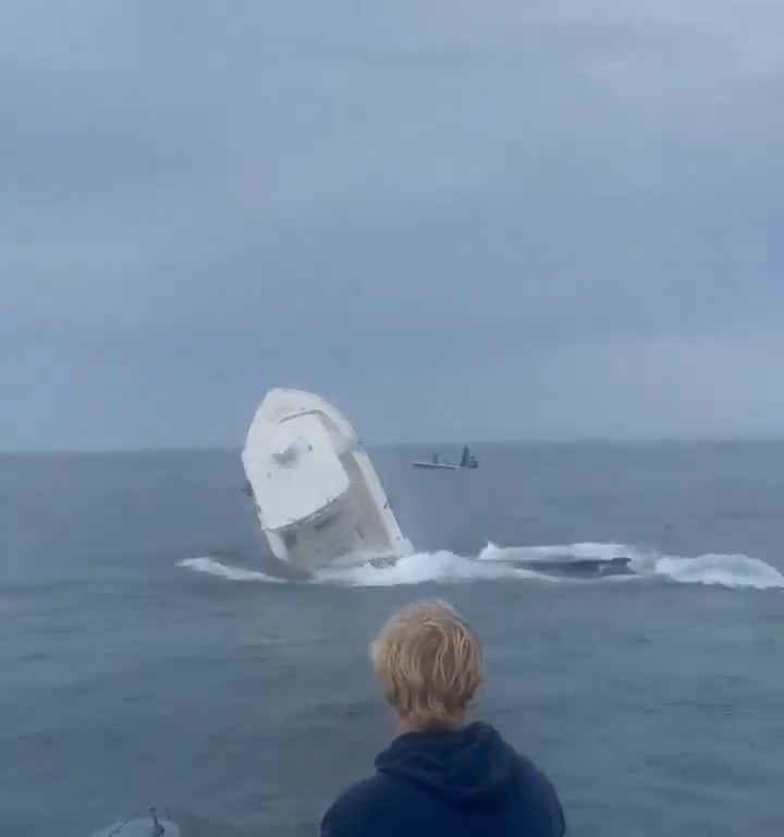 Ballena salta a un barco pesquero y lo hunde: increíble video