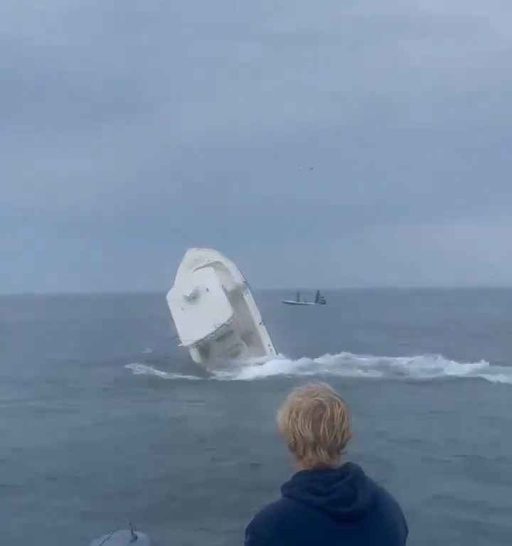 Ballena salta a un barco pesquero y lo hunde: increíble video