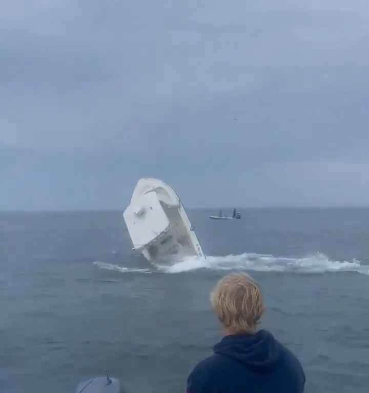 Ballena salta a un barco pesquero y lo hunde: increíble video