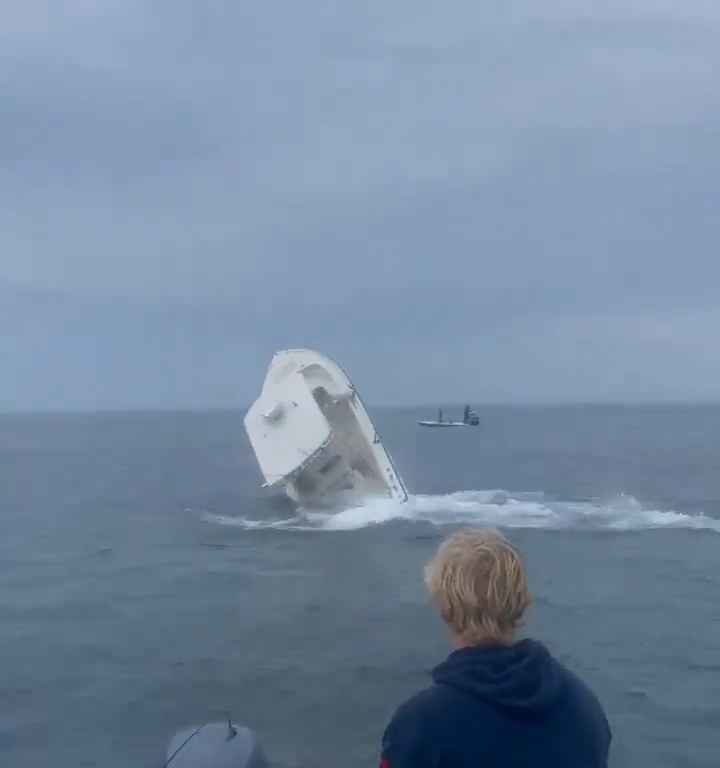 Ballena salta a un barco pesquero y lo hunde: increíble video