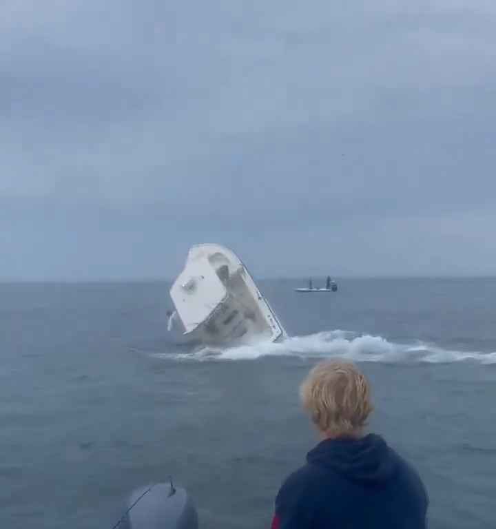 Ballena salta a un barco pesquero y lo hunde: increíble video