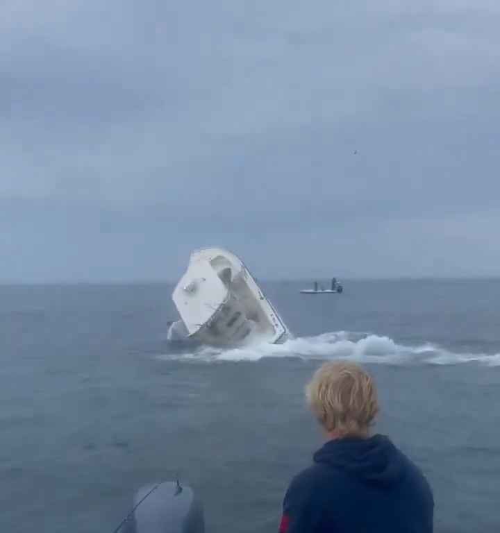 Ballena salta a un barco pesquero y lo hunde: increíble video