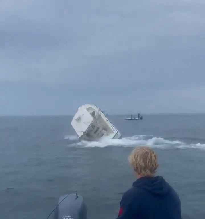 Ballena salta a un barco pesquero y lo hunde: increíble video