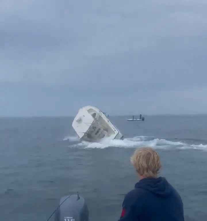 Ballena salta a un barco pesquero y lo hunde: increíble video